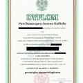 Powiększ obraz: certificate 1