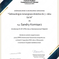 Powiększ obraz: certificate 4