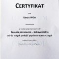 Powiększ obraz: certificate 1