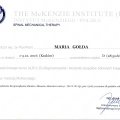Powiększ obraz: certificate 13