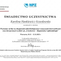 Powiększ obraz: certificate 19