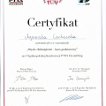 Powiększ obraz: certificate 4