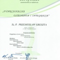 Powiększ obraz: certificate 9