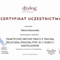 Powiększ obraz: certificate 12
