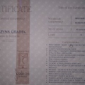 Powiększ obraz: certificate 3