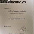 Powiększ obraz: certificate 4