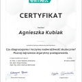 Powiększ obraz: certificate 16