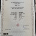 Powiększ obraz: certificate 1