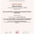 Powiększ obraz: certificate 8