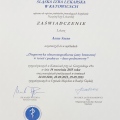Powiększ obraz: certificate 8