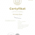 Powiększ obraz: certificate 20