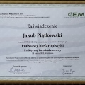 Powiększ obraz: certificate 22
