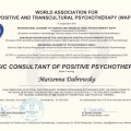 Powiększ obraz: certificate 1