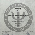 Powiększ obraz: certificate 1