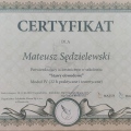Powiększ obraz: certificate 13