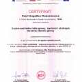 Powiększ obraz: certificate 11