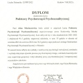 Powiększ obraz: certificate 1