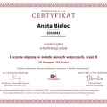 Powiększ obraz: certificate 15
