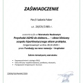 Powiększ obraz: certificate 17