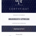 Powiększ obraz: certificate 3