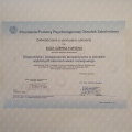 Powiększ obraz: certificate 6