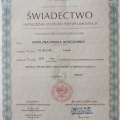 Powiększ obraz: certificate 2