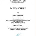 Powiększ obraz: certificate 1