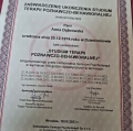Powiększ obraz: certificate 3