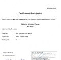 Powiększ obraz: certificate 7