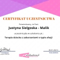 Powiększ obraz: certificate 16