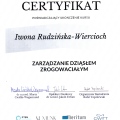 Powiększ obraz: certificate 8