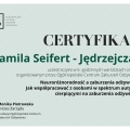 Powiększ obraz: certificate 3