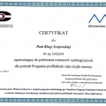 Powiększ obraz: certificate 1