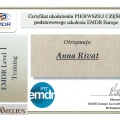 Powiększ obraz: certificate 3
