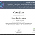 Powiększ obraz: certificate 11