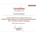 Powiększ obraz: certificate 8