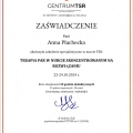 Powiększ obraz: certificate 10
