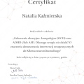 Powiększ obraz: certificate 11