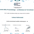 Powiększ obraz: certificate 5