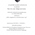 Powiększ obraz: certificate 23