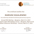 Powiększ obraz: certificate 8