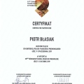 Powiększ obraz: certificate 99