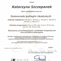 Powiększ obraz: certificate 8