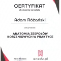 Powiększ obraz: certificate 10
