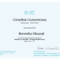 Powiększ obraz: certificate 9