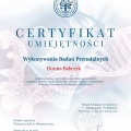 Powiększ obraz: certificate 2