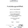 Powiększ obraz: certificate 3
