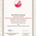Powiększ obraz: certificate 4