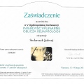 Powiększ obraz: certificate 9