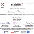 Powiększ obraz: certificate 1